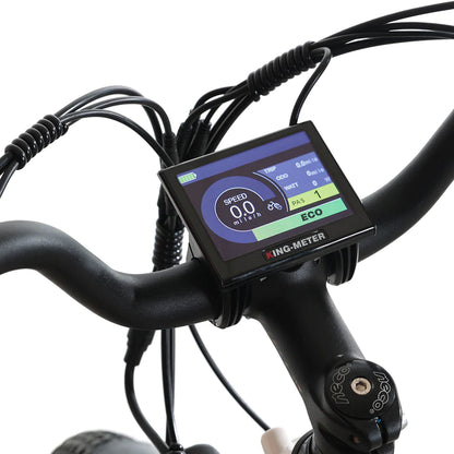 Bicicletta elettrica TOTEM Ranger 750W
