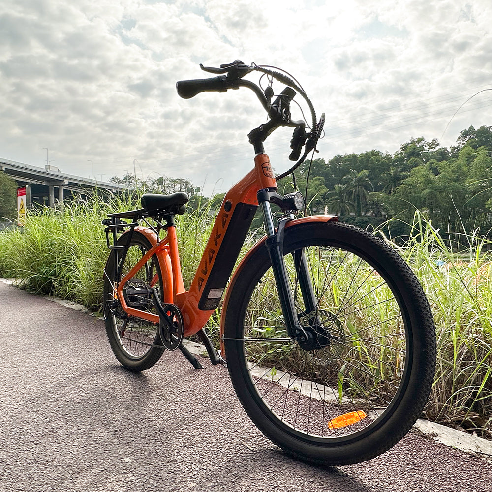 NIUBILITY K200 All-Terrain Electric Bike