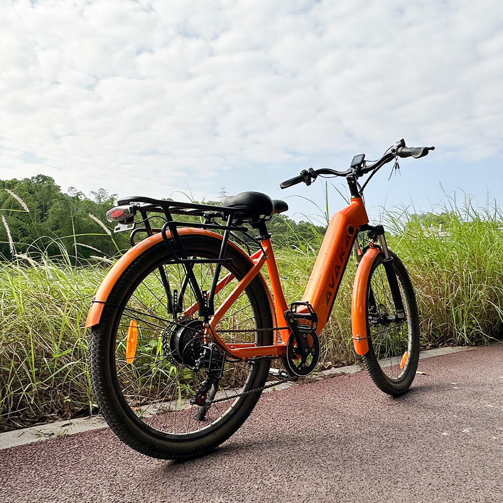 NIUBILITY K200 All-Terrain Electric Bike