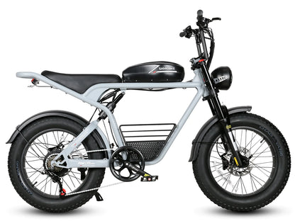 SAMEBIKE M20 1000W Electric Motorcycle