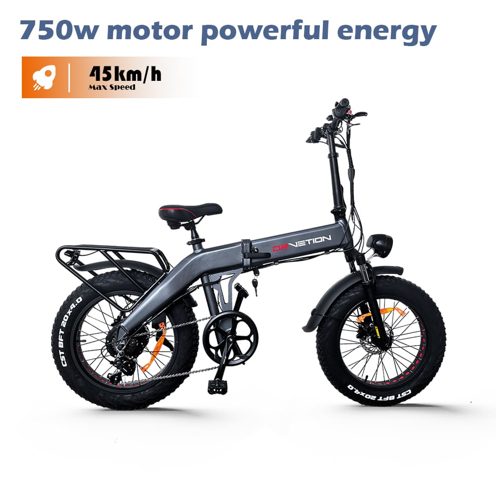 DrveTion BT20 750W All Terrain Electric Bicycle 45km/h