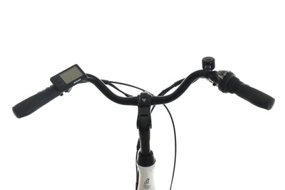 Bicicletta elettrica ProTour RC820 250W
