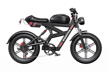 DUOTTS F20 Powerful Electric Bike with 750W Motor (Peak 1000W)