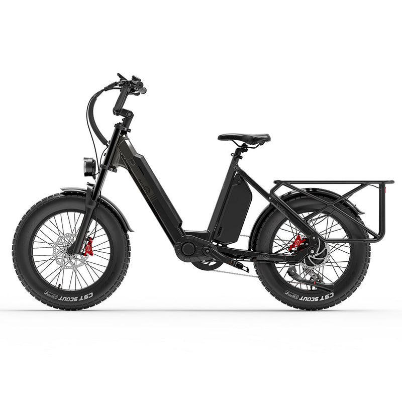 Bezior X500 Max 750W Two Wheels Electric Cargo Bikes 220km