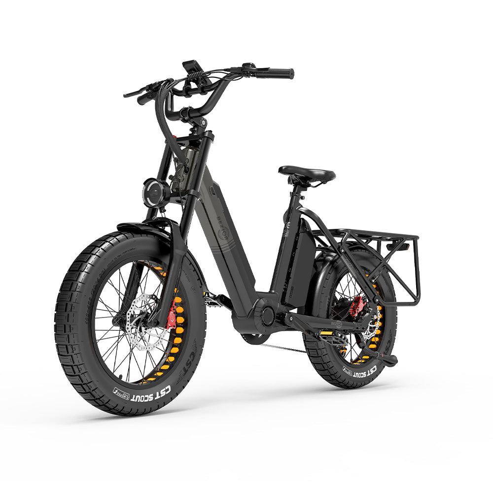 Bezior X500 Max 750W Two Wheels Electric Cargo Bikes 220km