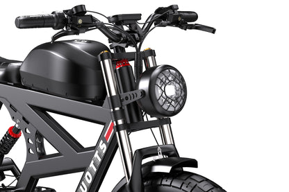 DUOTTS F20 Powerful Electric Bike with 750W Motor (Peak 1000W)