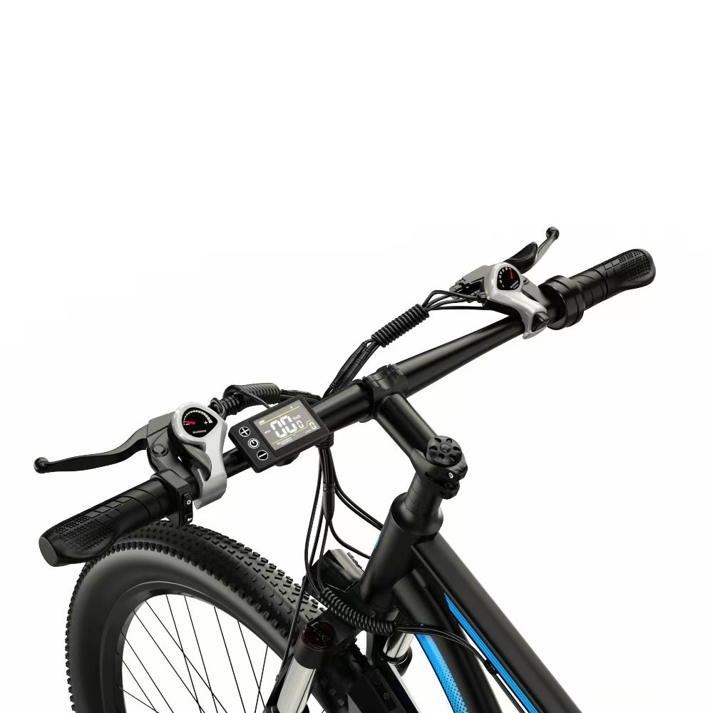 DUOTTS C29 Electric Bike