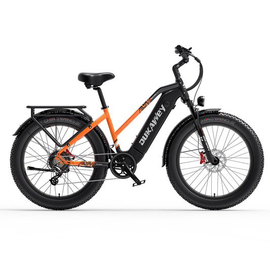 LANKELEISI Dukawey DM530PLUS 52V 20Ah 1000W Electric Bicycle