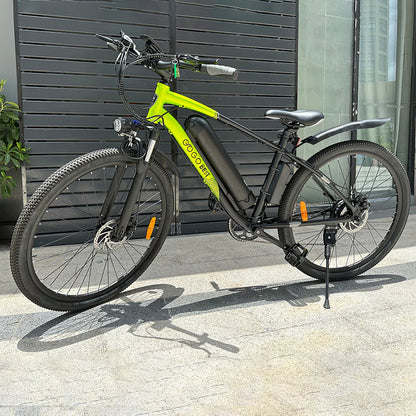 GOGOBEST GM30 750W Elektro fahrrad