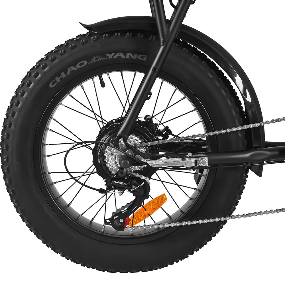 SAIBAIKE FXH006 750W Mountainbike mit fetten Reifen