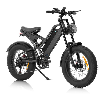 Ailife X20 1000W 48km/h Electric Bicycle