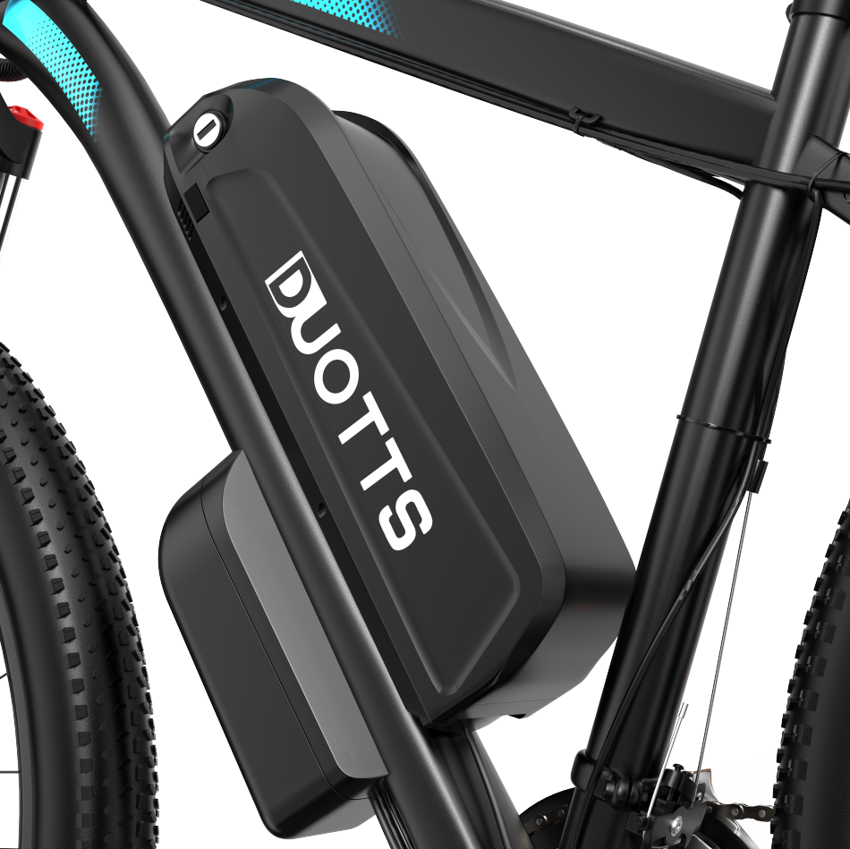 Bici elettrica DUOTTS C29 750W
