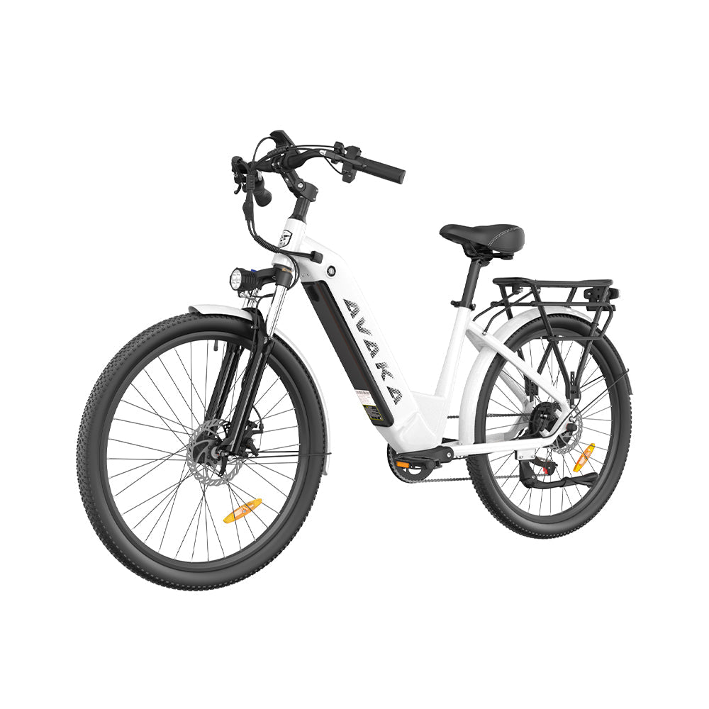 NIUBILITY K200 All-Terrain Electric Bike