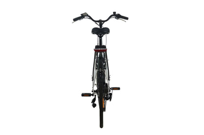 ProTour RC820 250W Elektro fahrrad