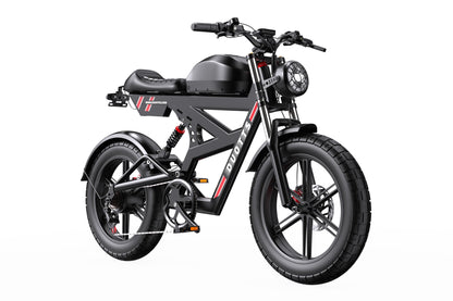 DUOTTS F20 Powerful Electric Bike with 750W Motor (Peak 1000W)