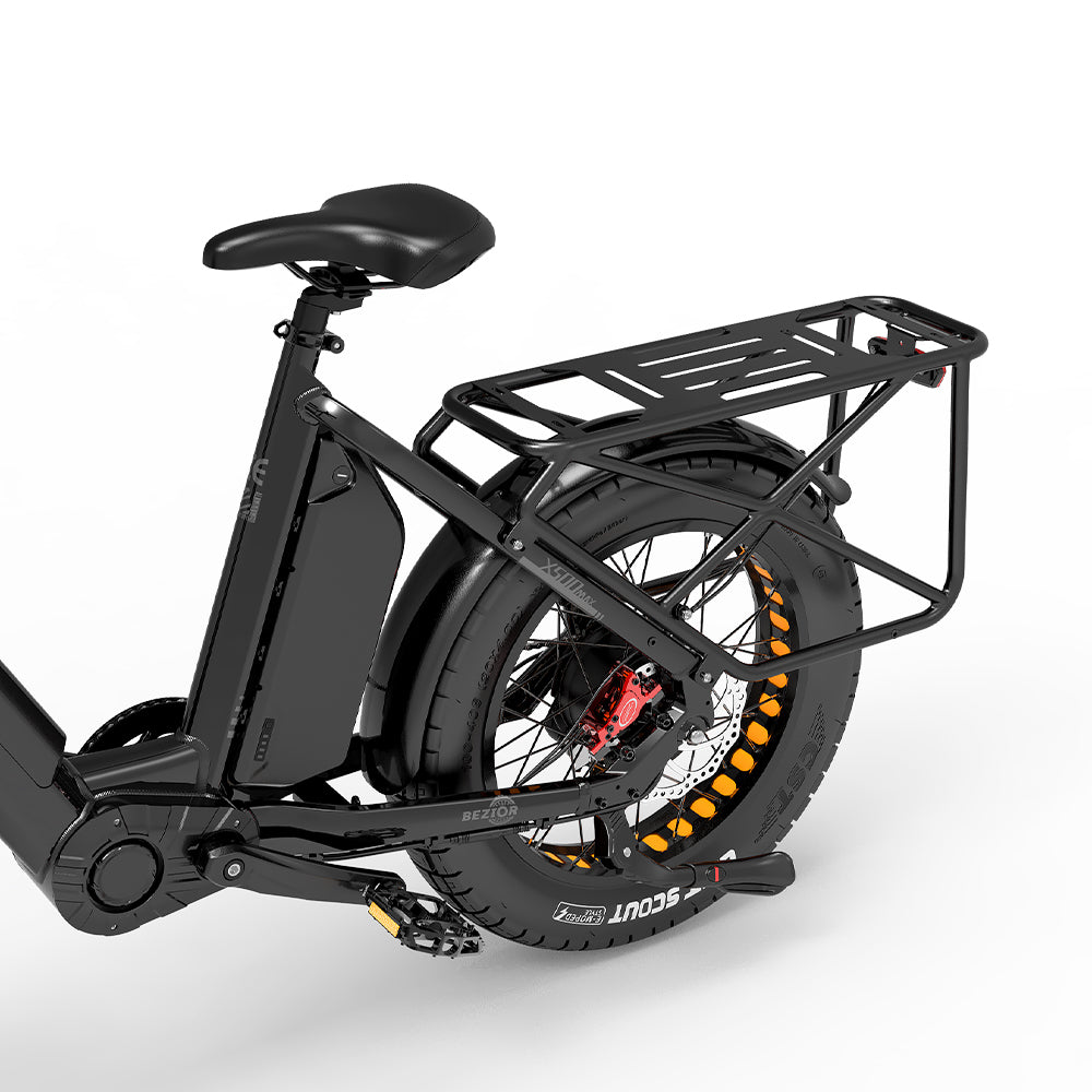 Bezior X500 Max 750W Two Wheels Electric Cargo Bikes 220km