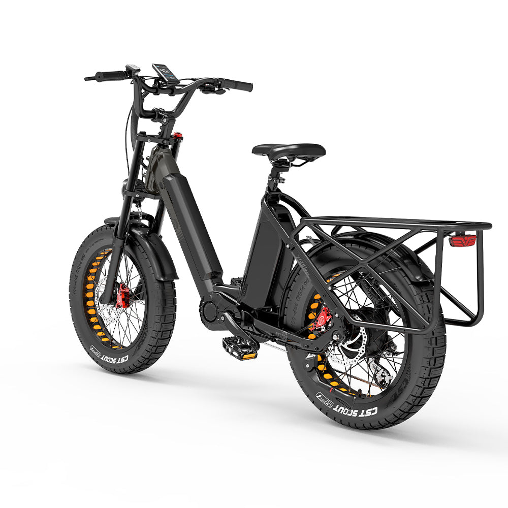 Bezior X500 Max 750W Two Wheels Electric Cargo Bikes 220km