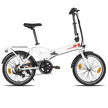 HILAND struisvogel 250W elektrische fiets