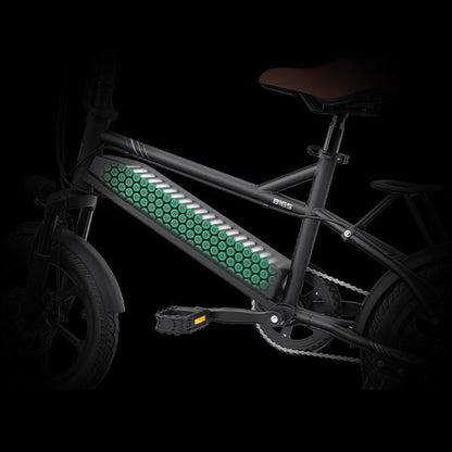 Niubility B14S 400W ebike pieghevole 70km 25 km/h.