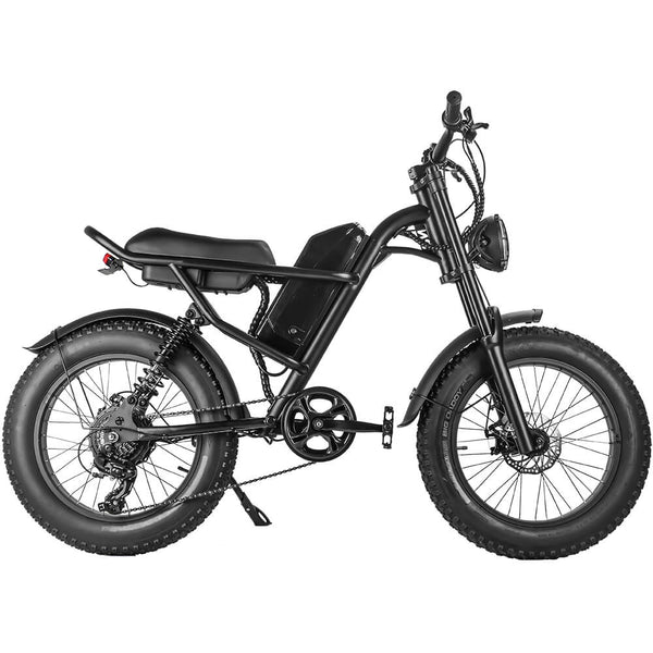 Cheap Electric Fat Bike Recommendations
