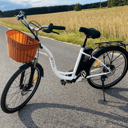 DYU C6 elektrische fiets 350W motor 26 inch stad elektrische fiets 25km / h
