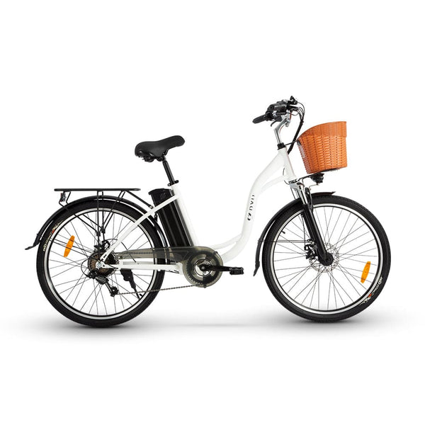 electric bike with luggage box